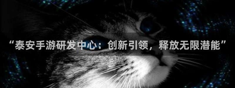 V8娱乐登录：“泰安手游研发中心：创新引领，释放无限潜能”