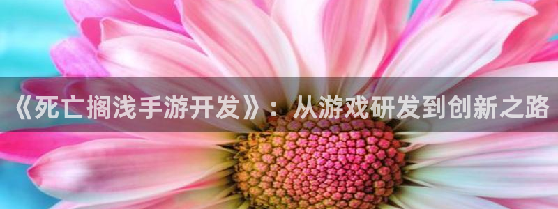 V8娱乐登录：《死亡搁浅手游开发》：从游戏研发到创新之路