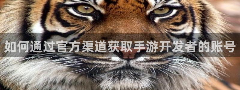 V8娱乐官网：如何通过官方渠道获取手游开发者的账号