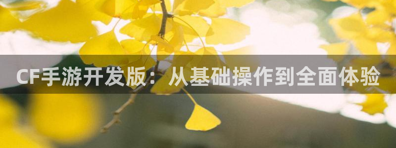 V8娱乐官网：CF手游开发版：从基础操作到全面体验
