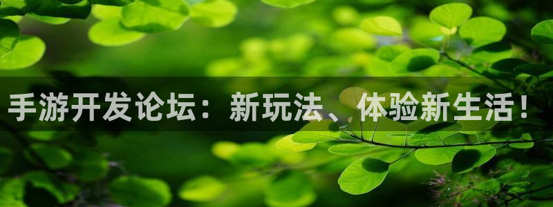 V8娱乐网