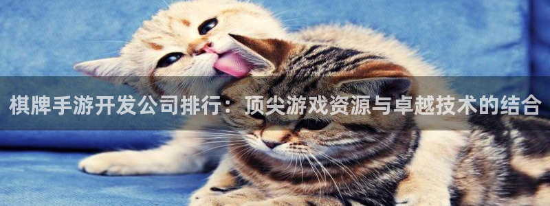 V8娱乐网：棋牌手游开发公司排行：顶尖游戏资源与卓越技术的结