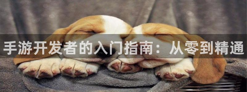 V8娱乐官网：手游开发者的入门指南：从零到精通