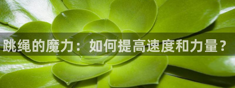 熊猫体育官网首页入口