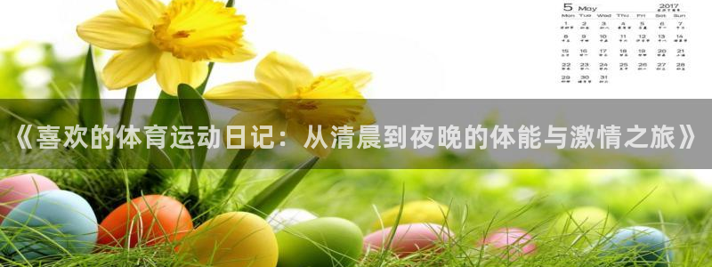 熊猫体育怎么样