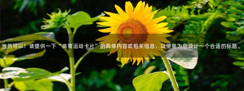 熊猫体育免费下载：当然可以！请提供一下“体育运动卡片”的具体内容或相关信息，以便我为您设计一个合适的标题。