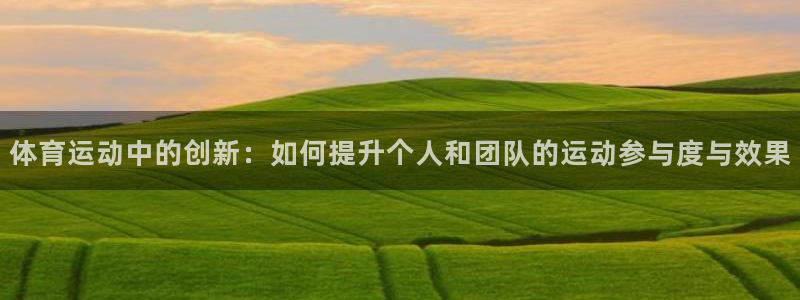 动感熊猫体育公园