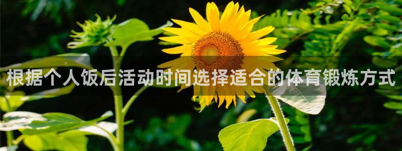 下载熊猫体育：根据个人饭后活动时间选择适合的体育锻炼方式