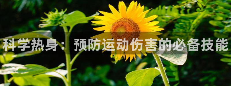 熊猫体育手机版下载：科学热身：预防运动伤害的必备技能