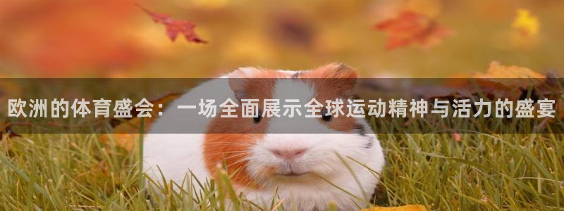 熊猫体育app官方入口：欧洲的体育盛会：一场全面展示全球运动精神与活力的盛宴